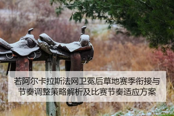 若阿尔卡拉斯法网卫冕后草地赛季衔接与节奏调整策略解析及比赛节奏适应方案